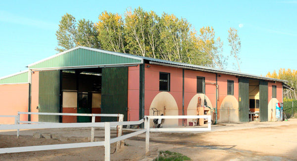 Centro equino Ecujama servicios de reproducción de sementales en Talavera de la Reina Toledo