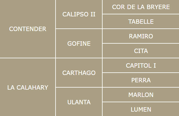 Genealogía Holstein Contisco Centro equino Jama en Talavera de la Reina Toledo